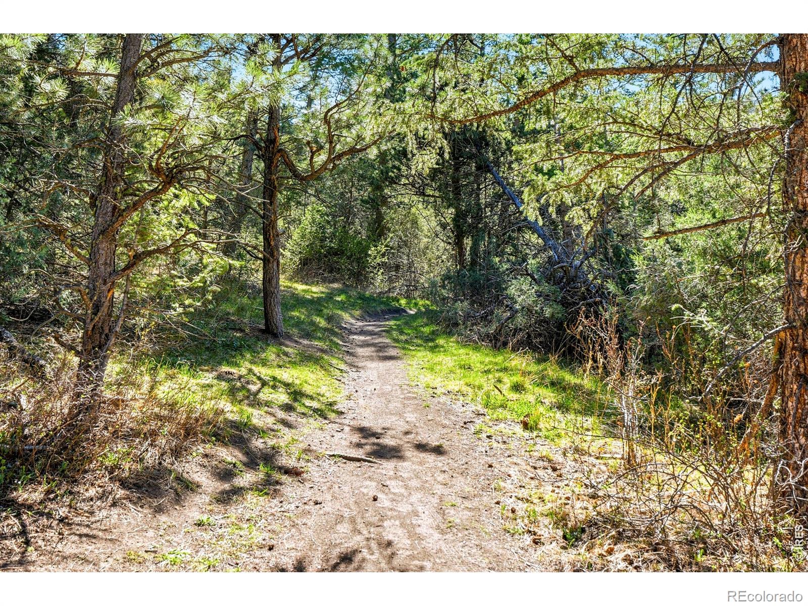 5 Mohawk Road Lyons CO 80540