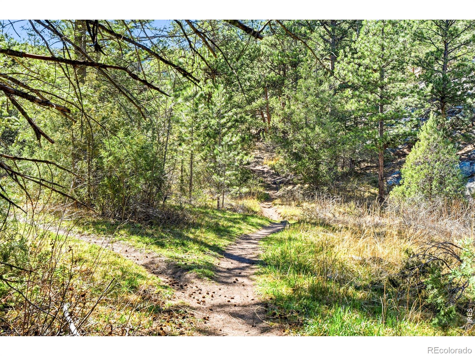 5 Mohawk Road Lyons CO 80540