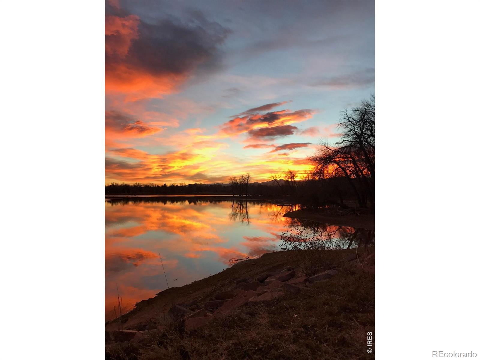 707 Sandpiper Point Fort Collins CO 80525