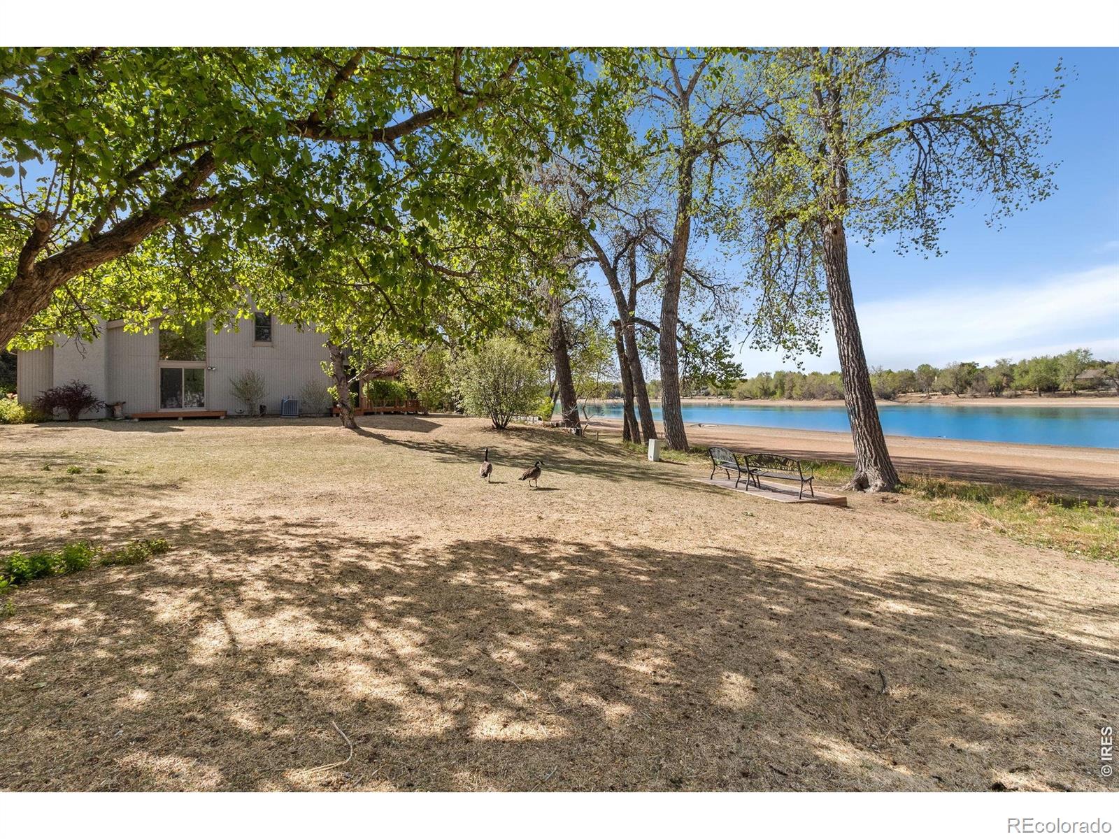 707 Sandpiper Point Fort Collins CO 80525