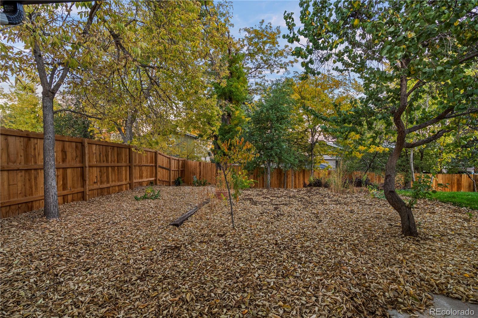 884 S Lewis Street Lakewood CO 80226