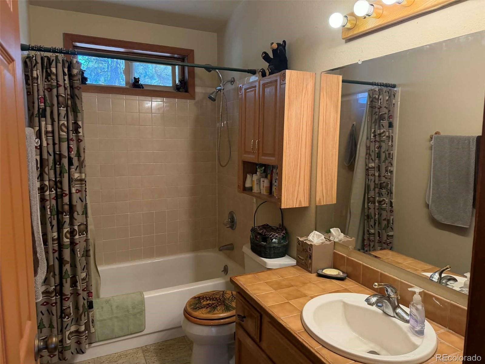 33623 Smith Road Pine CO 80470