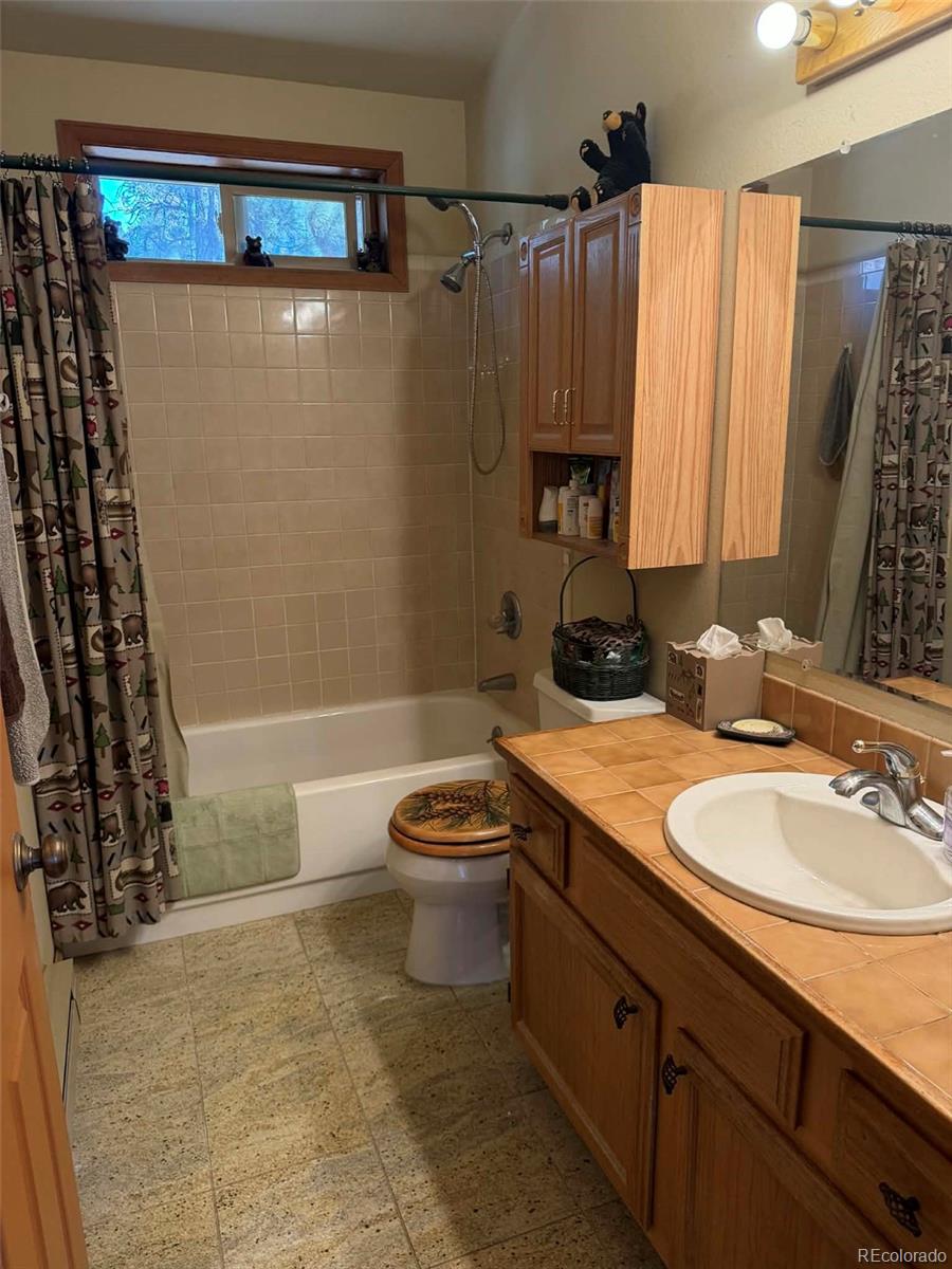 33623 Smith Road Pine CO 80470
