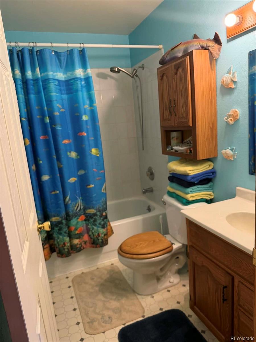 33623 Smith Road Pine CO 80470