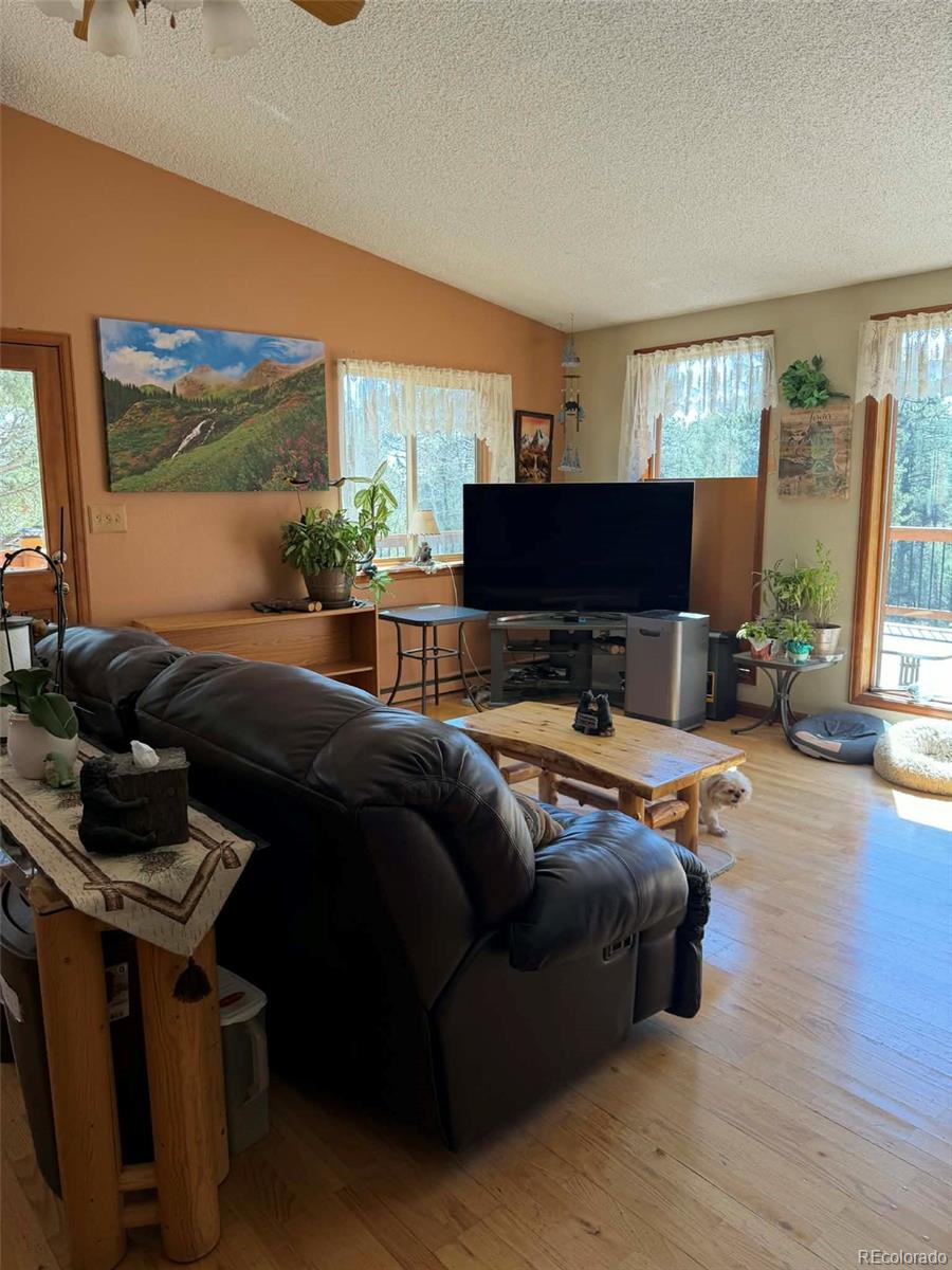 33623 Smith Road Pine CO 80470