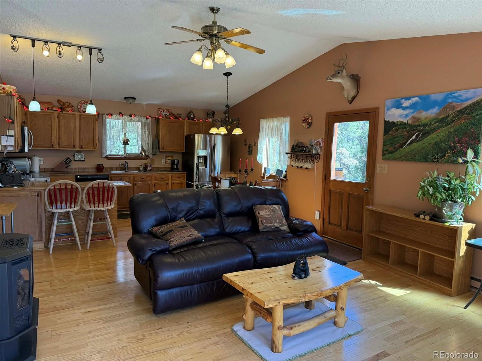 33623 Smith Road Pine CO 80470