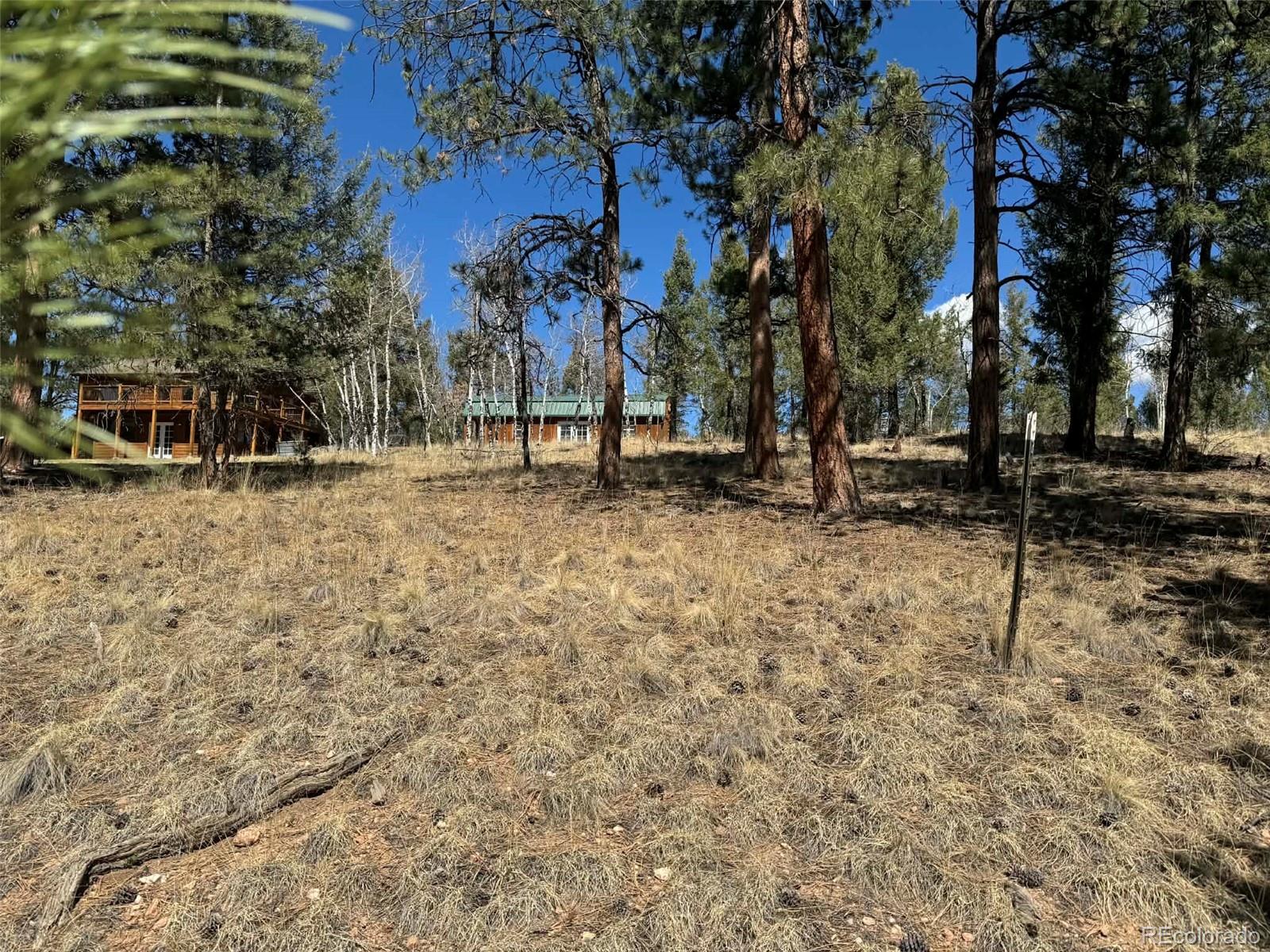 33623 Smith Road Pine CO 80470