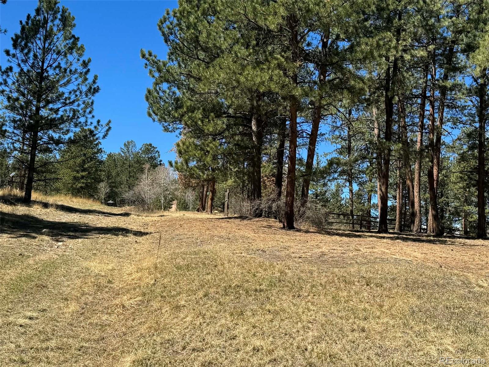 33623 Smith Road Pine CO 80470