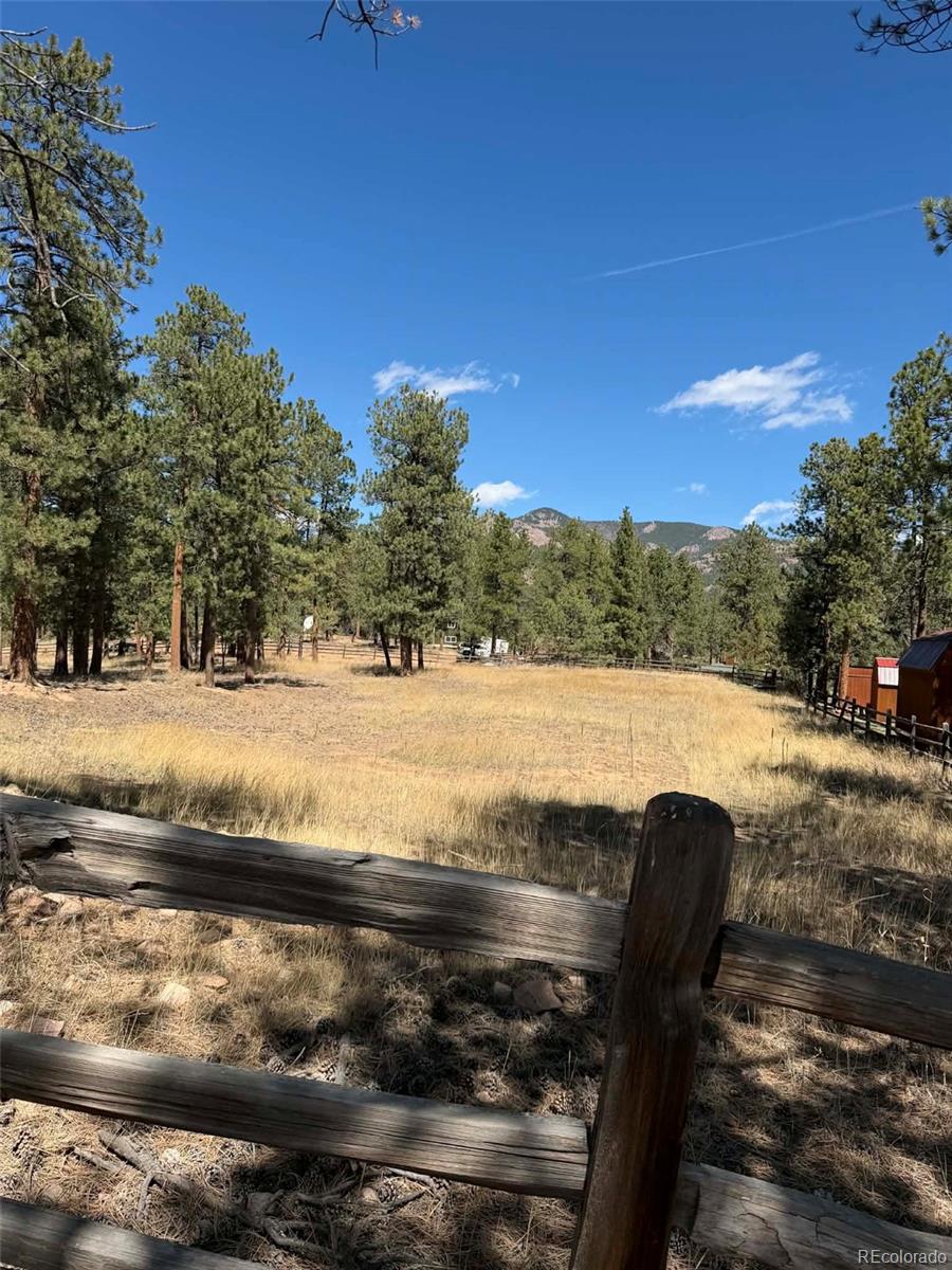 33623 Smith Road Pine CO 80470