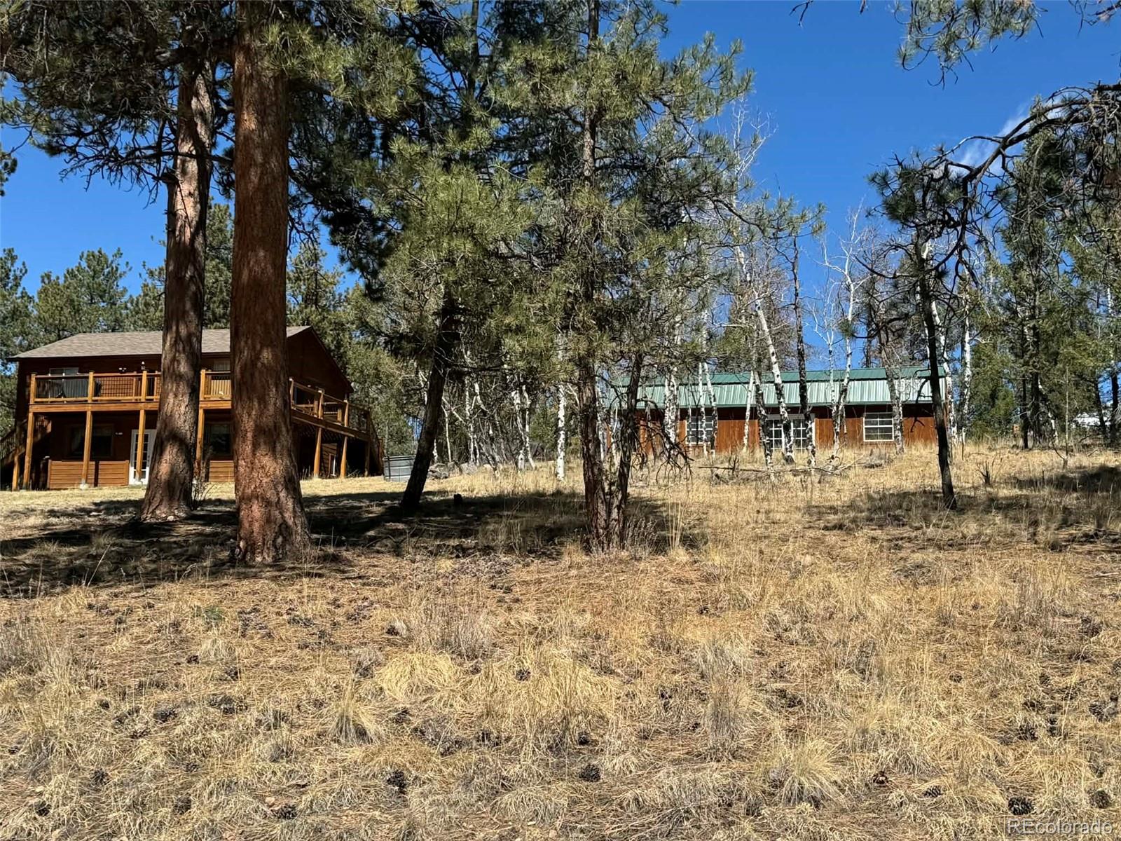 33623 Smith Road Pine CO 80470