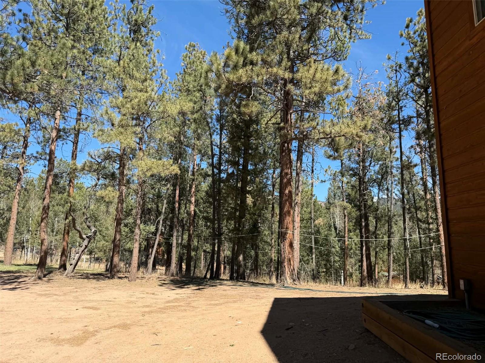 33623 Smith Road Pine CO 80470