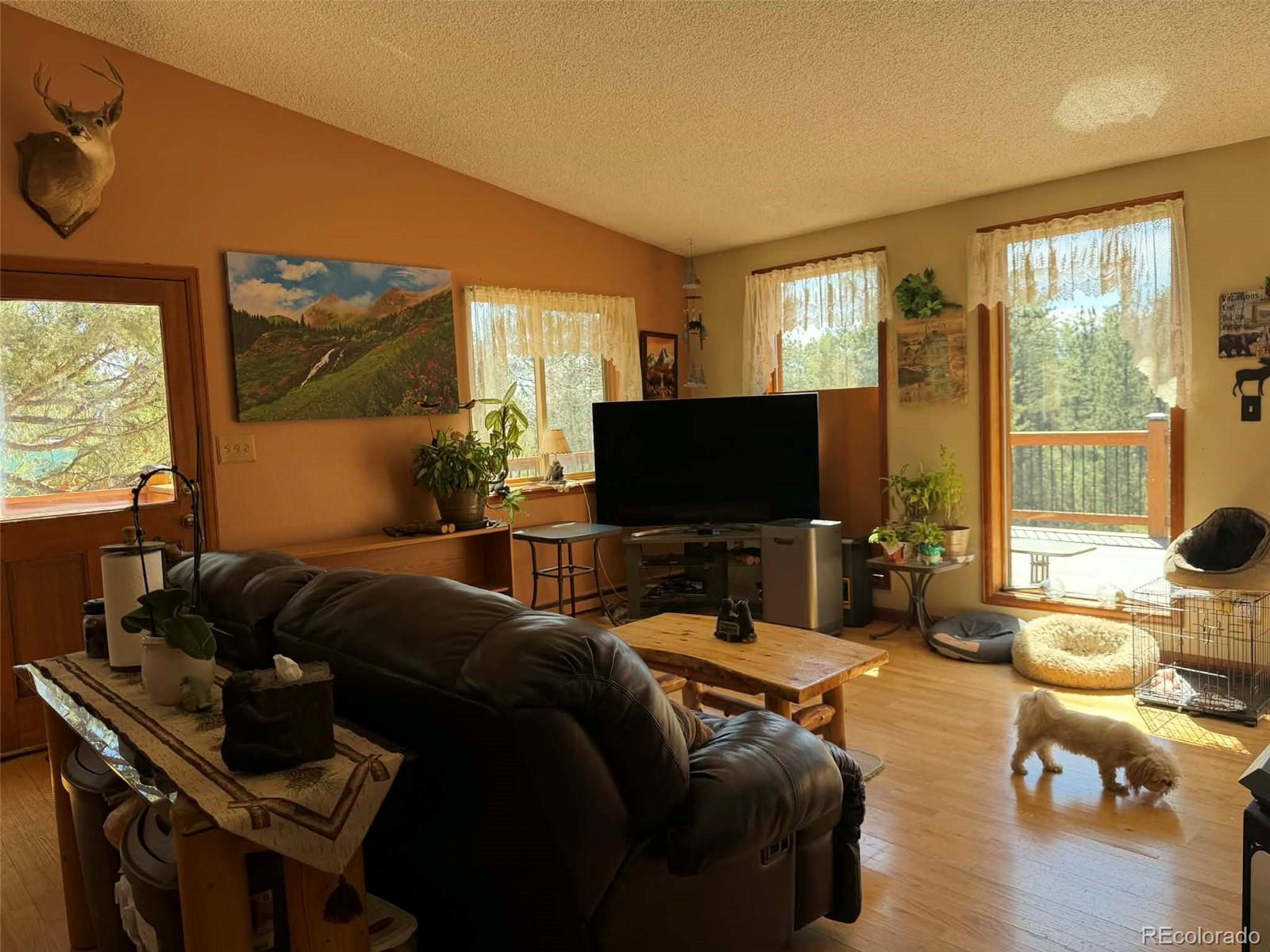 33623 Smith Road Pine CO 80470