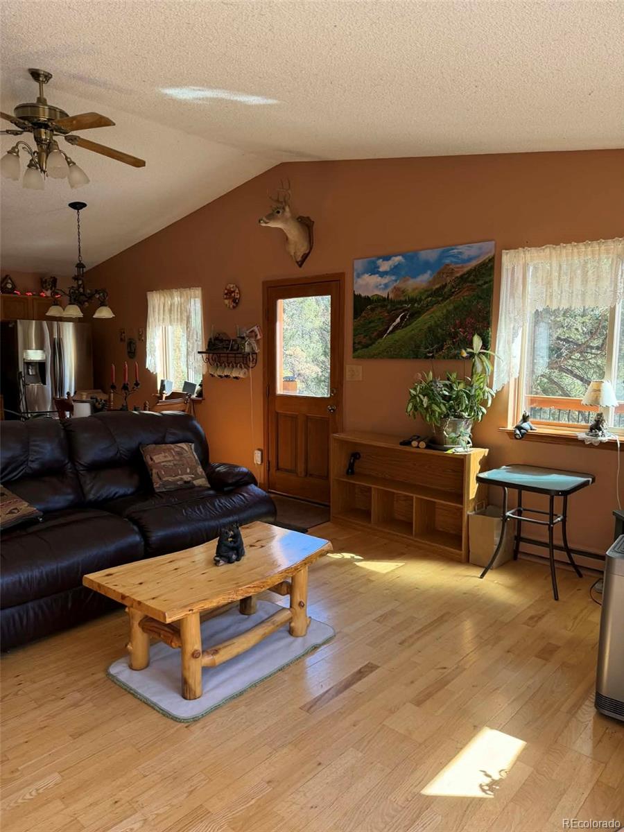 33623 Smith Road Pine CO 80470