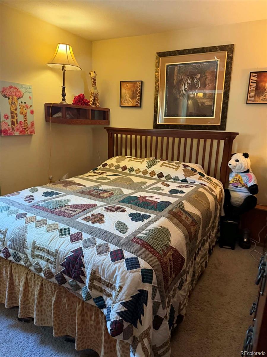 33623 Smith Road Pine CO 80470
