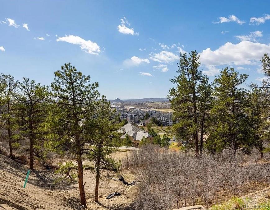 655 Ruby Trust Drive Castle Rock CO 80108
