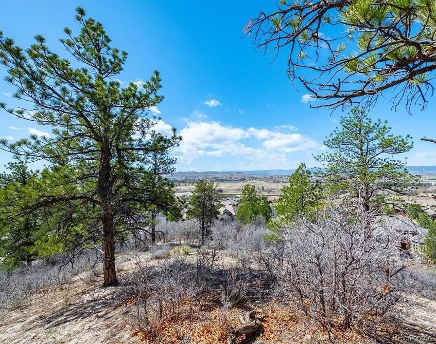 655 Ruby Trust Drive Castle Rock CO 80108