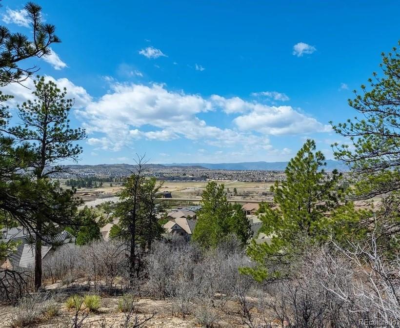 655 Ruby Trust Drive Castle Rock CO 80108