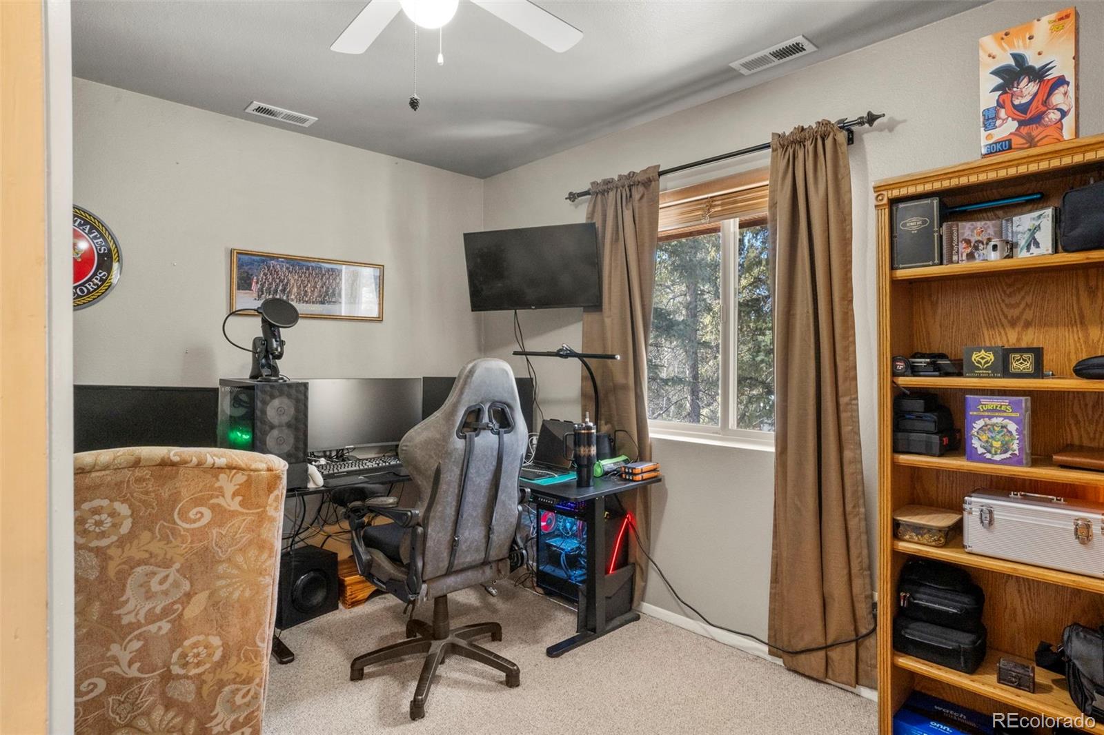 4076 Omer Lane Divide CO 80814