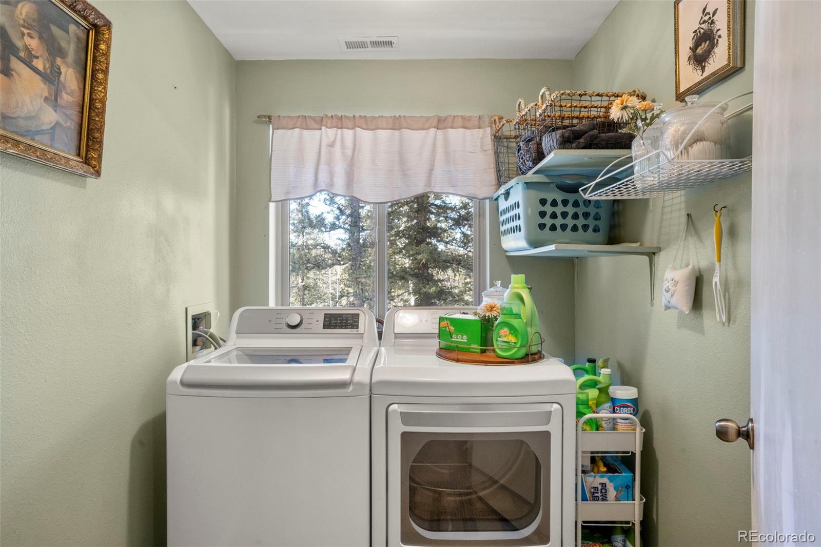 4076 Omer Lane Divide CO 80814