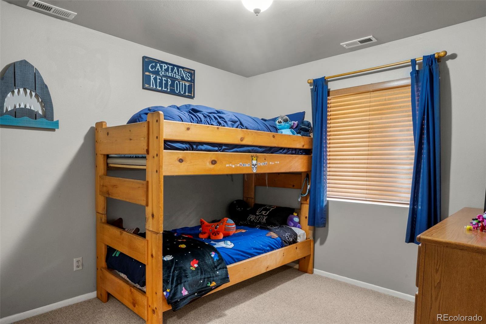 4076 Omer Lane Divide CO 80814