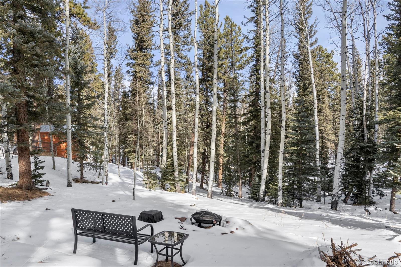 4076 Omer Lane Divide CO 80814