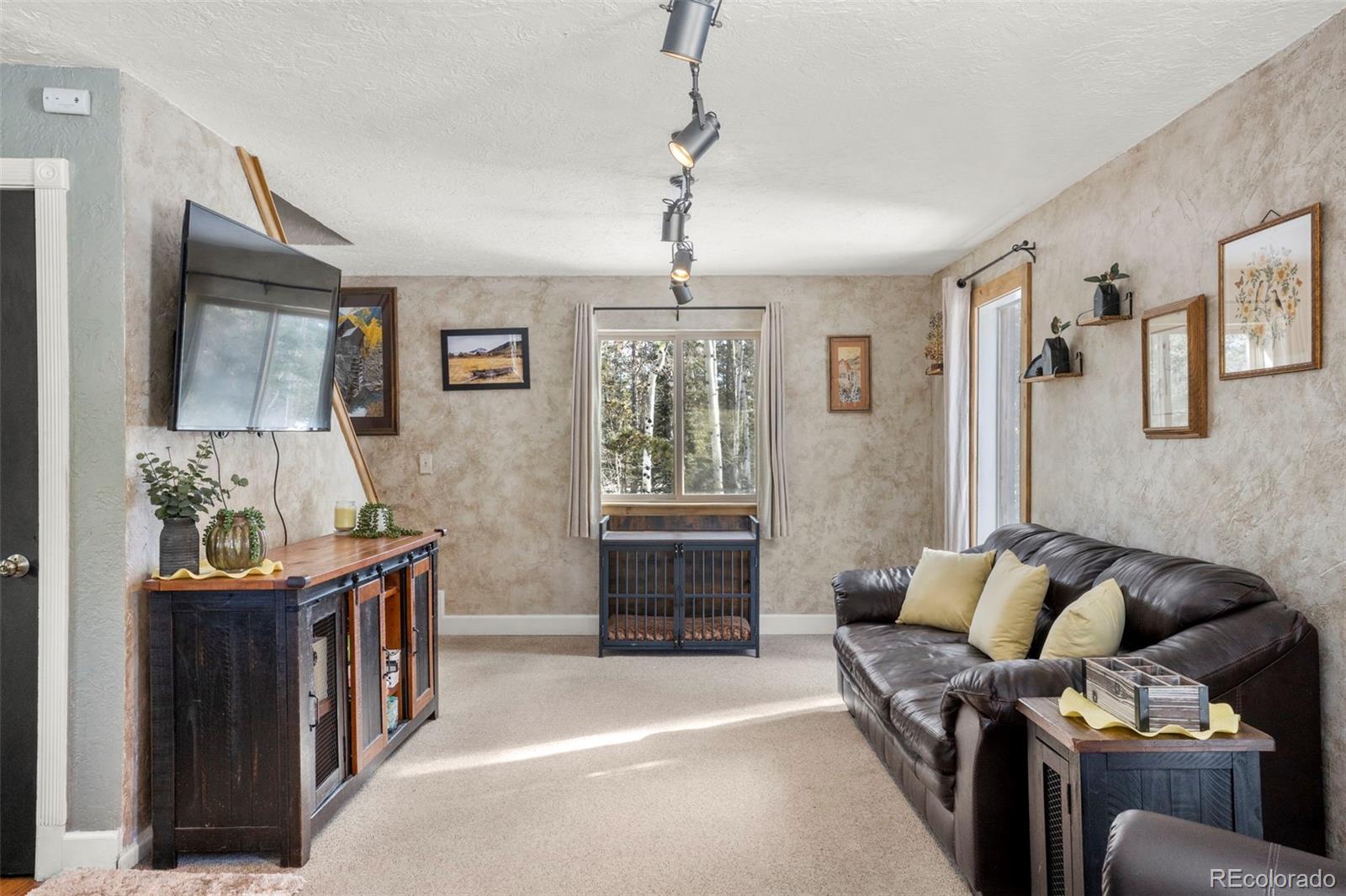4076 Omer Lane Divide CO 80814