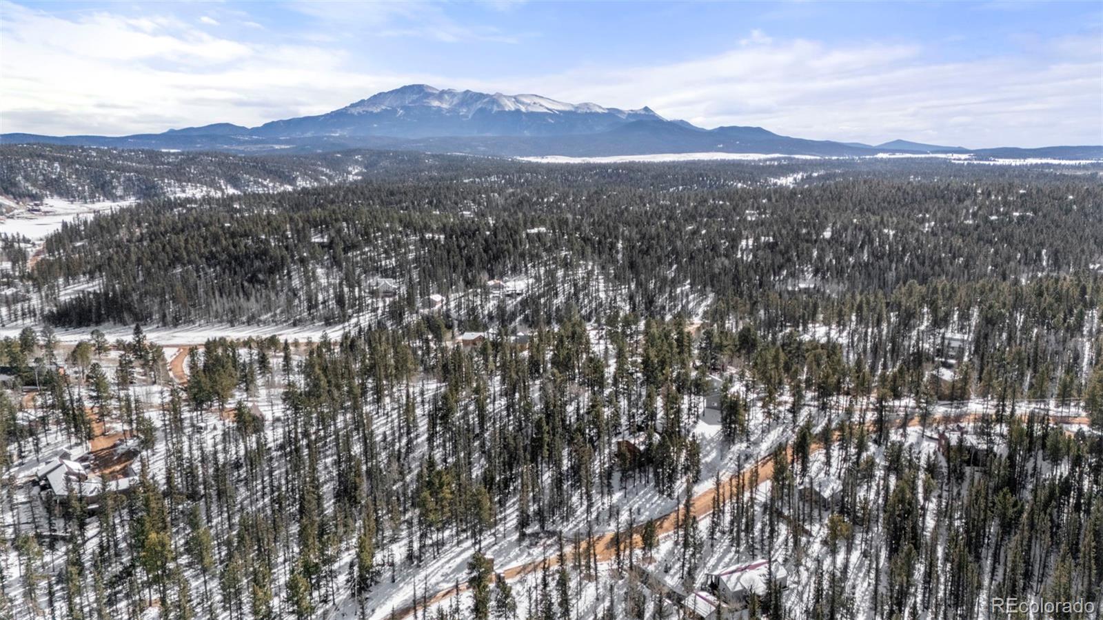 4076 Omer Lane Divide CO 80814
