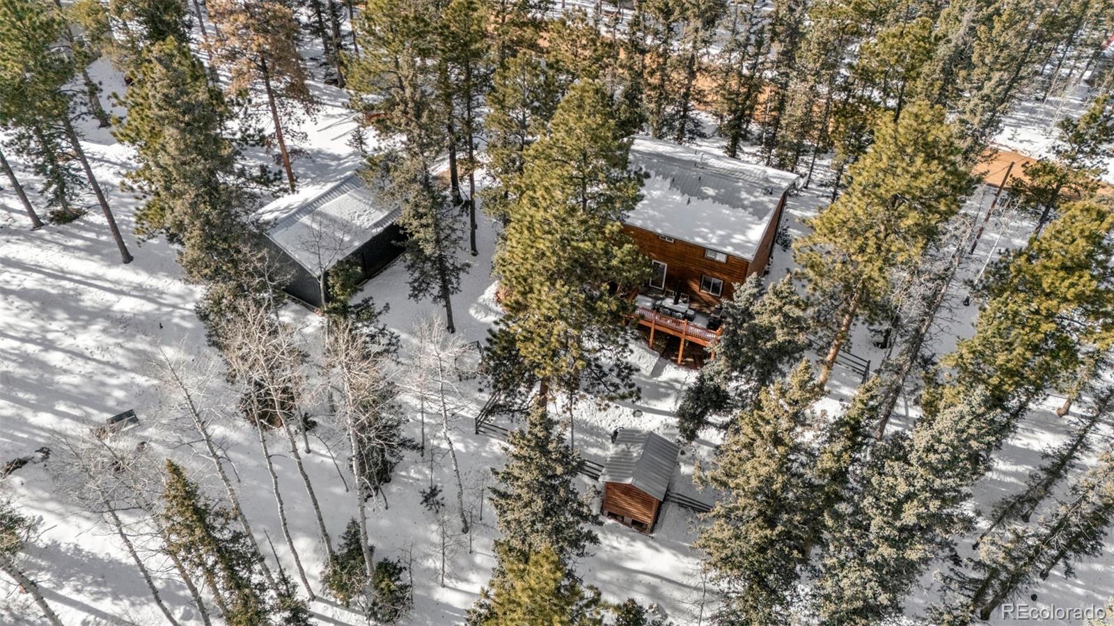 4076 Omer Lane Divide CO 80814