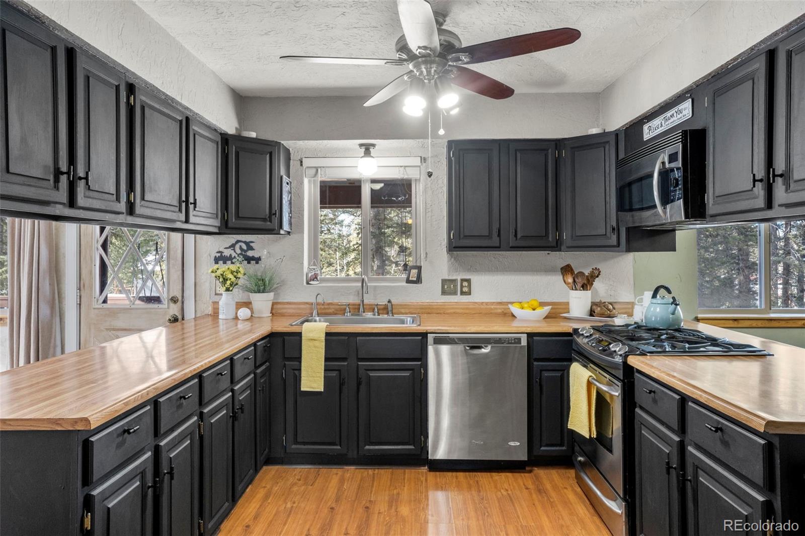 4076 Omer Lane Divide CO 80814