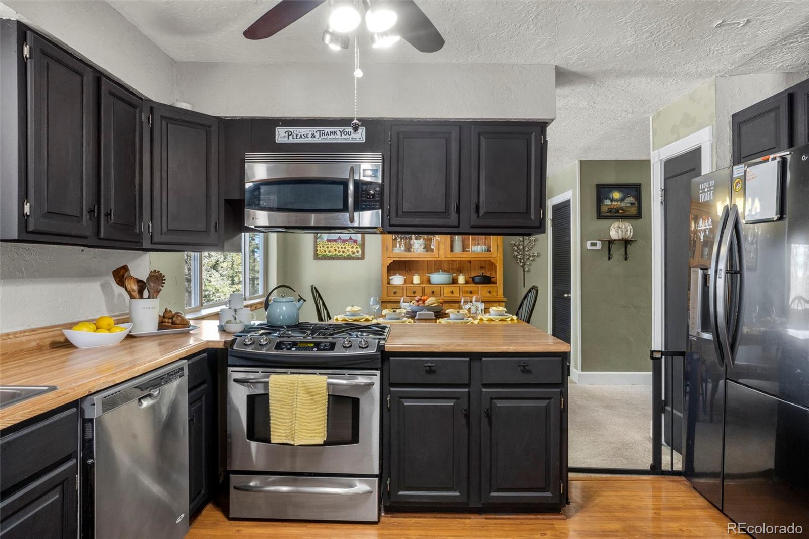 4076 Omer Lane Divide CO 80814