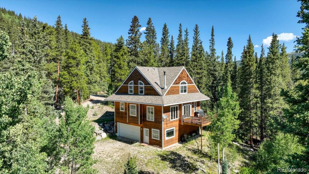 234 Peterson Drive Fairplay CO 80440