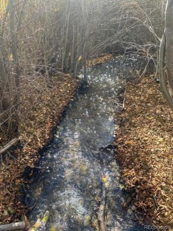 198 Cr 26 Twin Lakes CO 81251