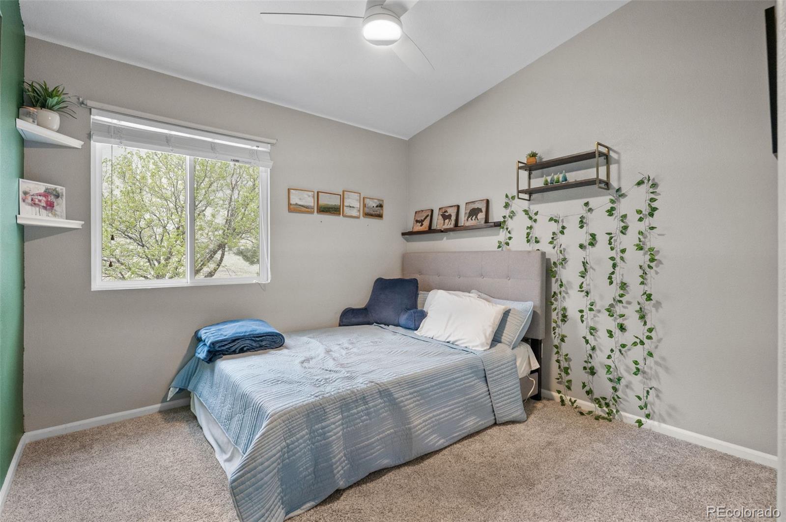 7123 Pine Hills Way Littleton CO 80125