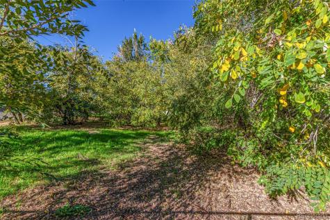 1209 Alton Street Aurora CO 80010