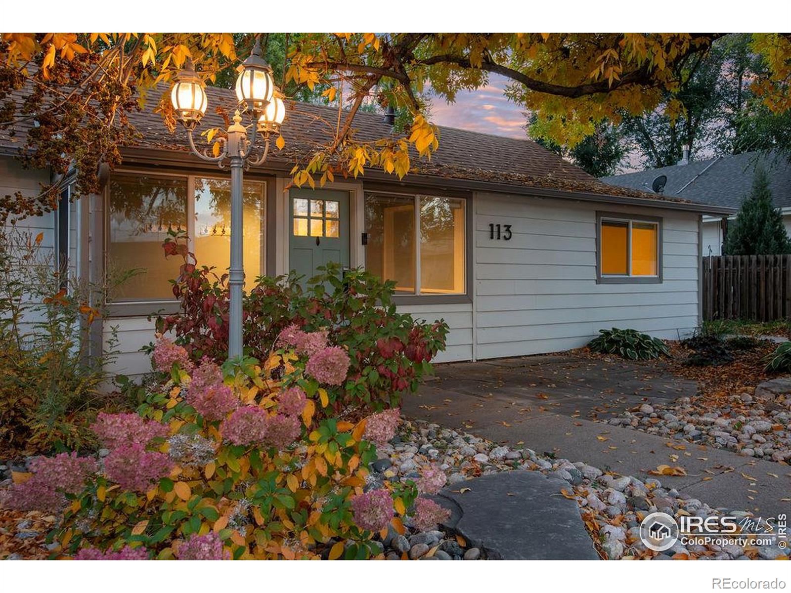 113 Oak Street Windsor CO 80550