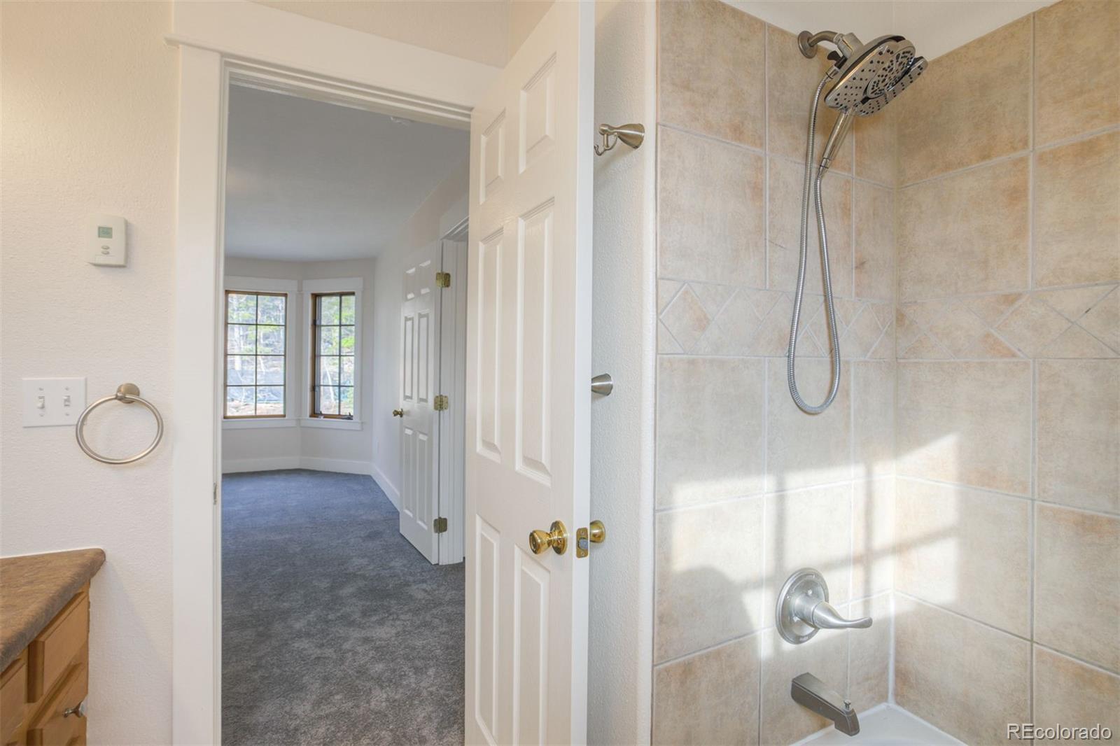 372 N Oak Street Alma CO 80420