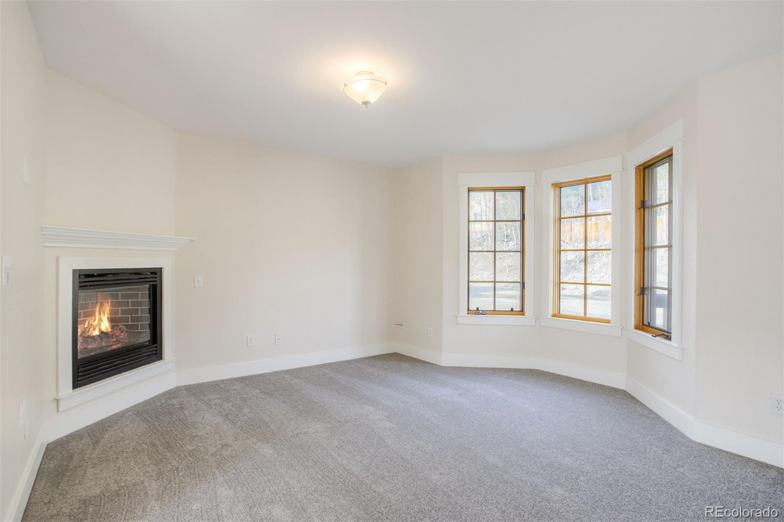 372 N Oak Street Alma CO 80420