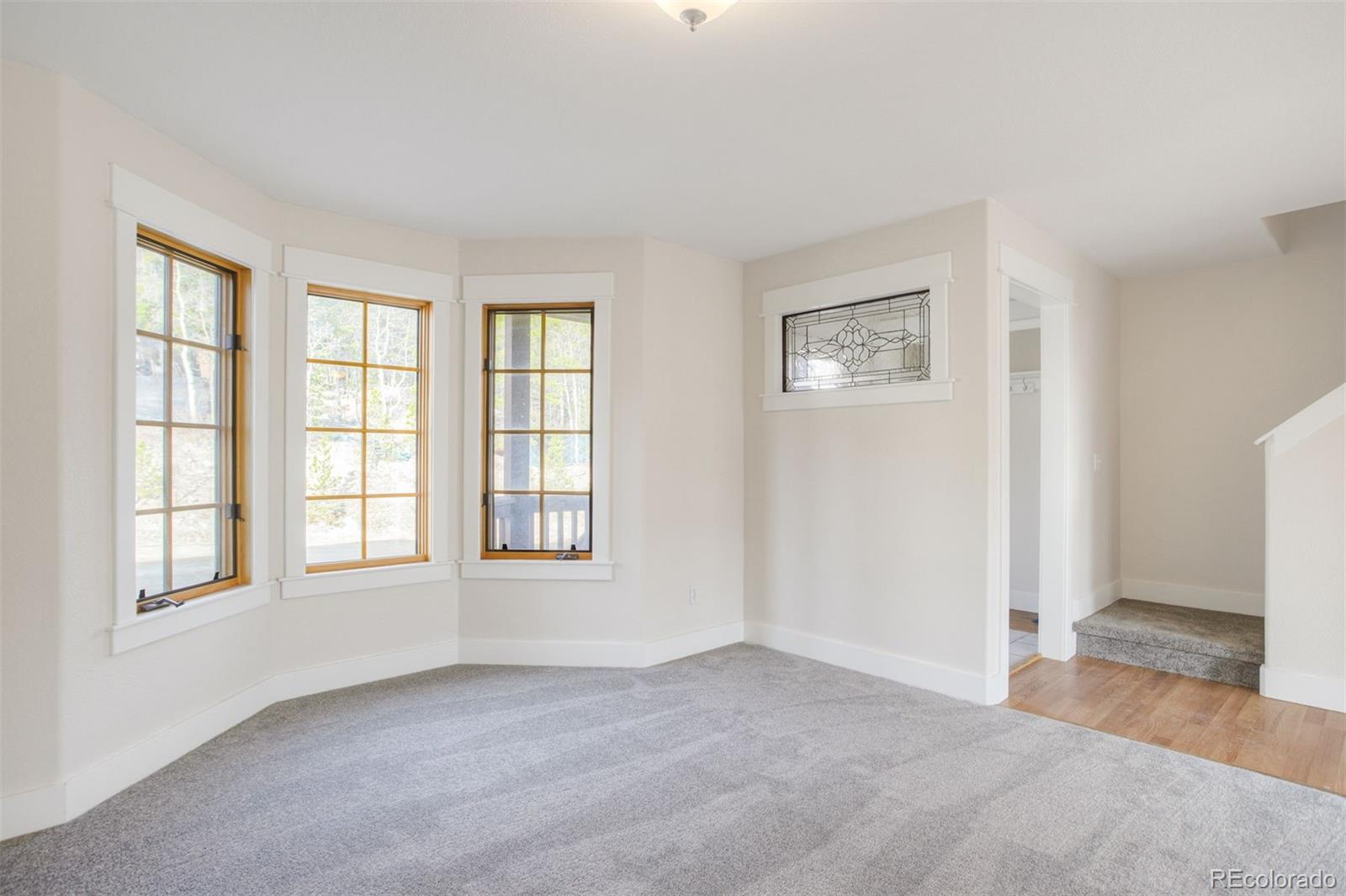 372 N Oak Street Alma CO 80420