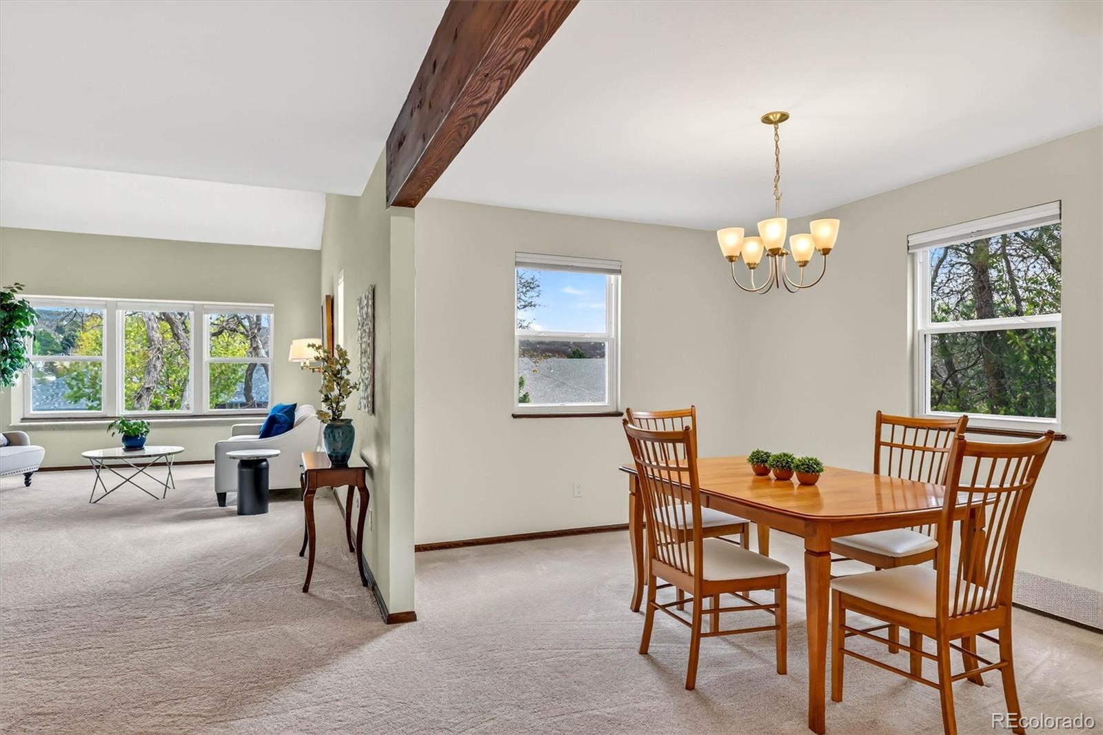 243 Dawson Drive Castle Rock CO 80104