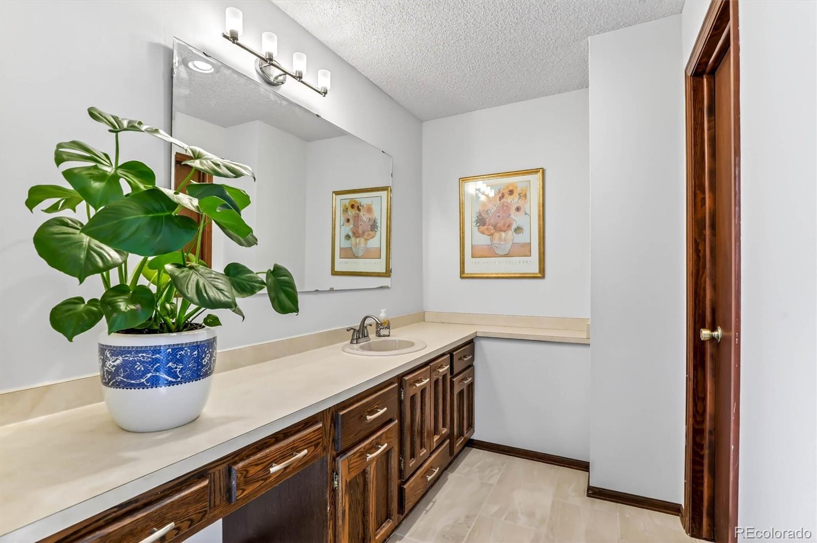 243 Dawson Drive Castle Rock CO 80104