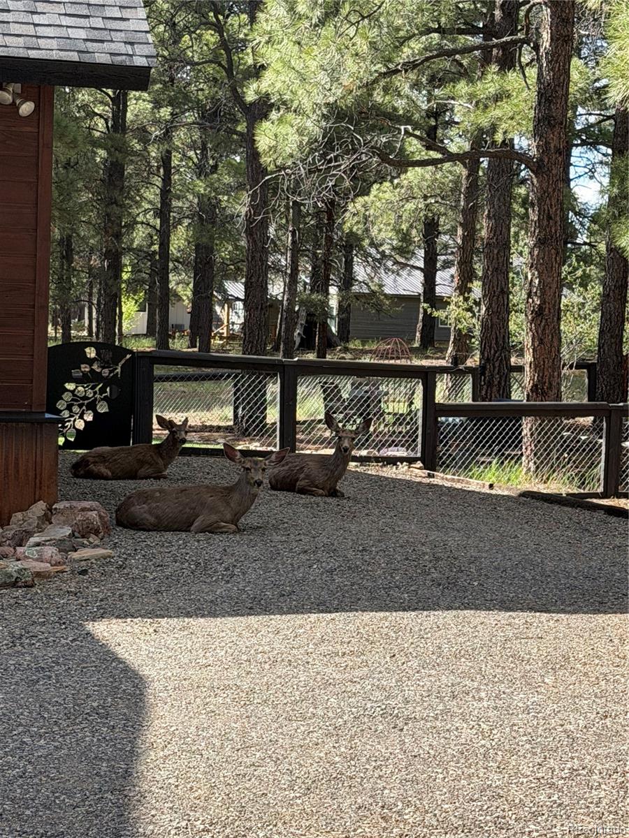 125 Teakwood Drive Pagosa Springs CO 81147