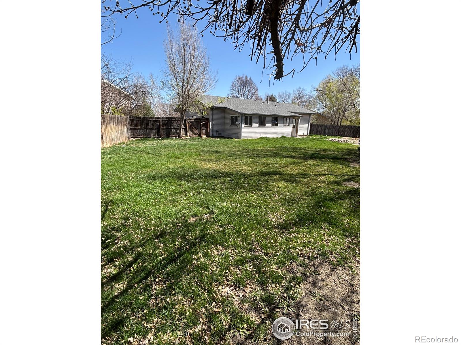 514 Whitmore Court Johnstown CO 80534