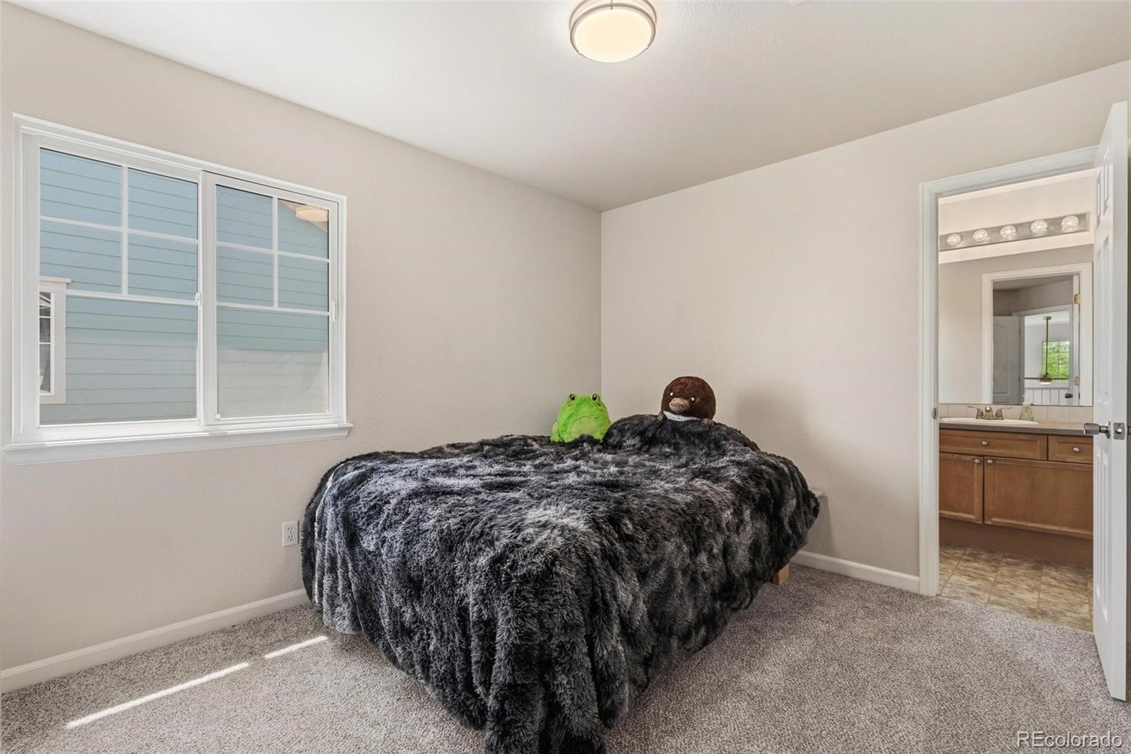 5243 Mt Arapaho Circle Longmont CO 80504