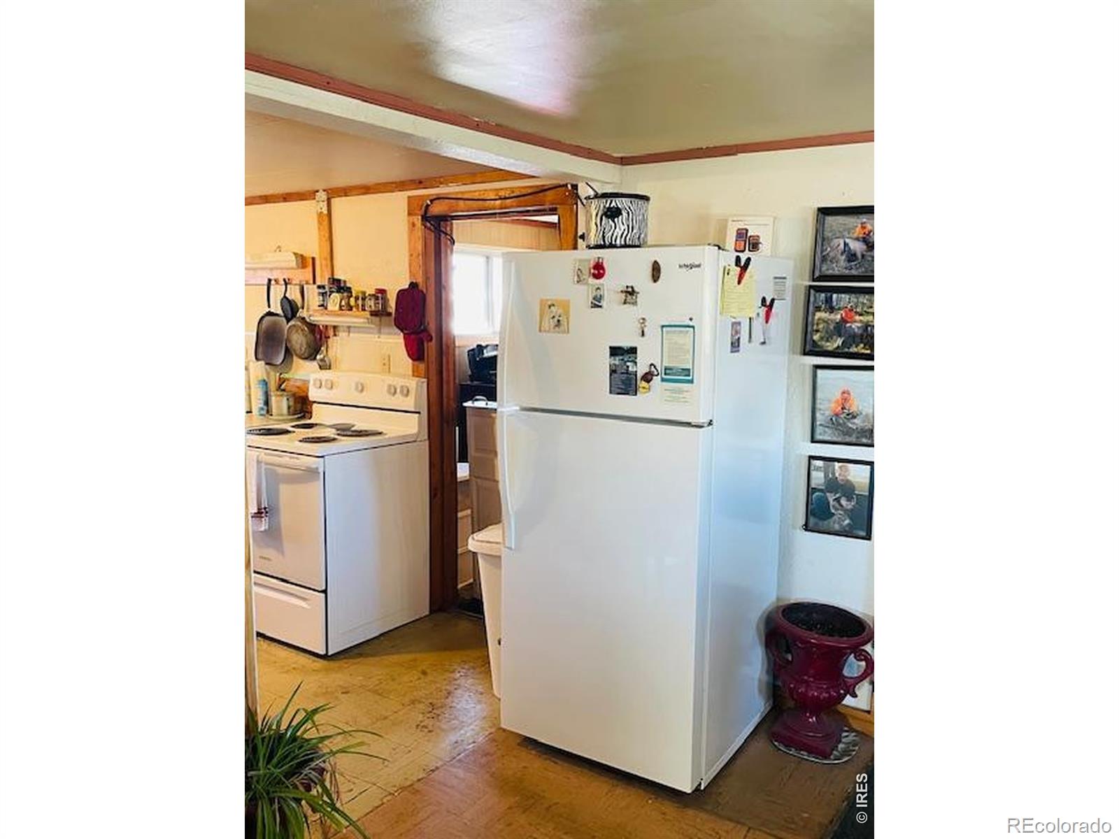 248 Lafever Street Walden CO 80480