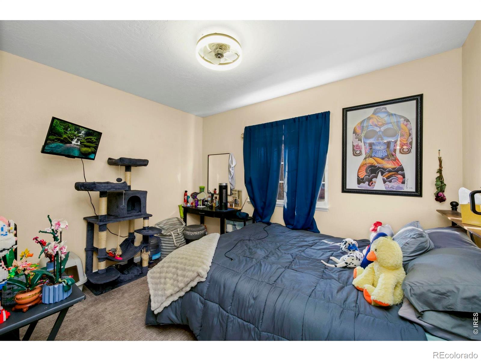 5225 W 11th Street Road Greeley CO 80634