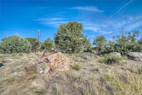 12704 County Road 195a Salida CO 81201
