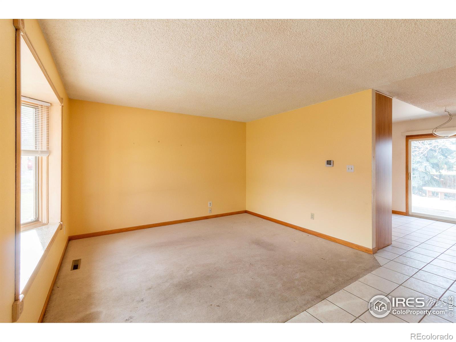 312 Galaxy Way Fort Collins CO 80525