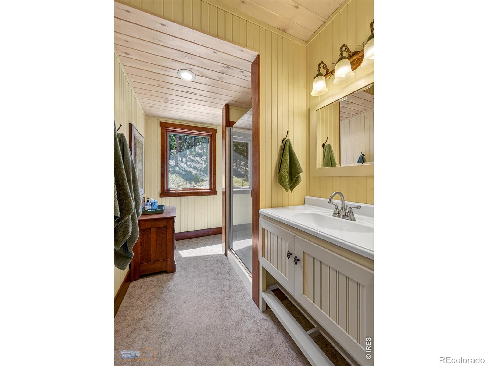 942 Spruce Drive Lyons CO 80540