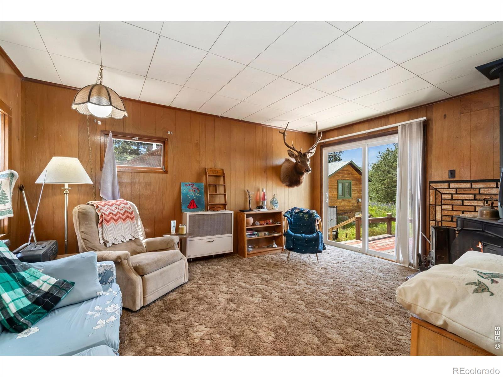 983 Ramona Drive Red Feather Lakes CO 80545