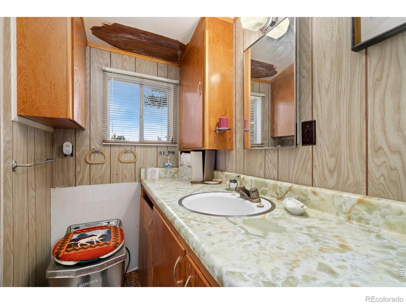 983 Ramona Drive Red Feather Lakes CO 80545